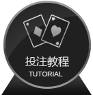 新手教程